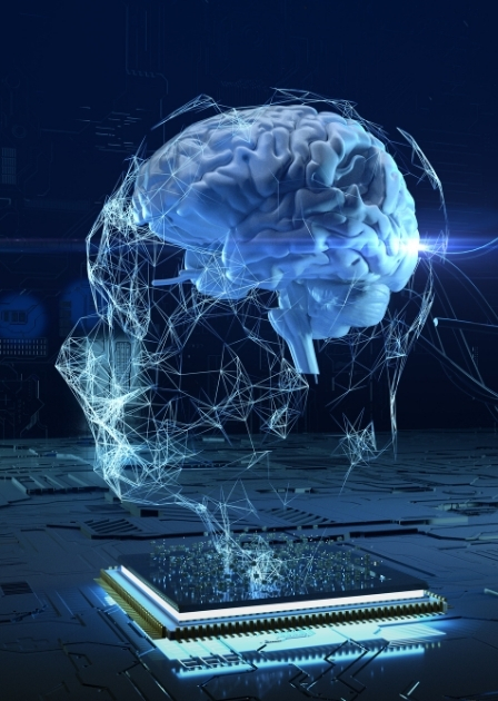 Brains